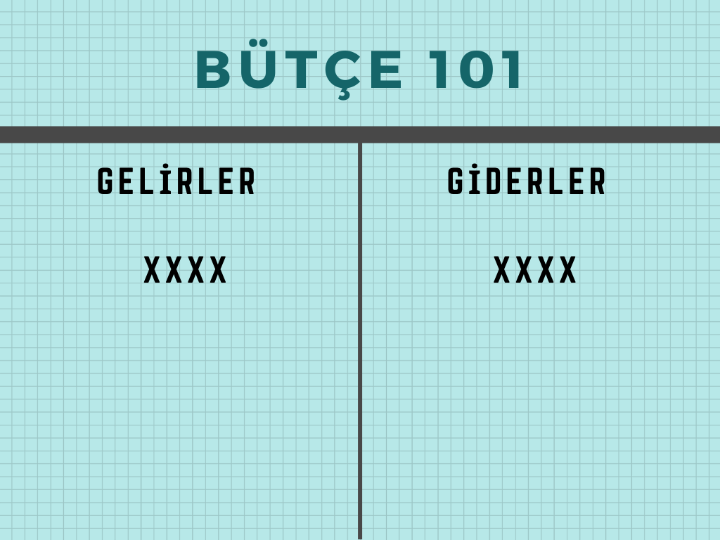 finans, bütçe, yatırım