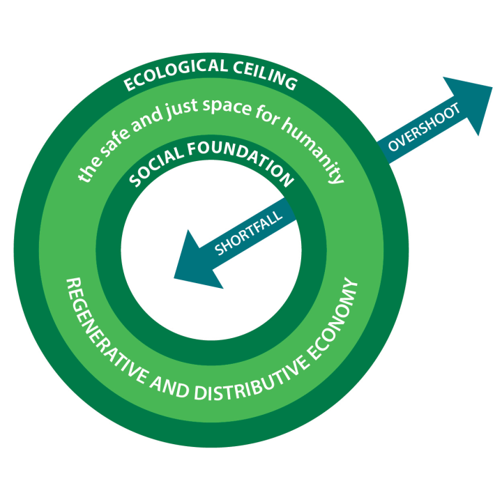 doughnut economics, doughnut theory, Kate Raworth