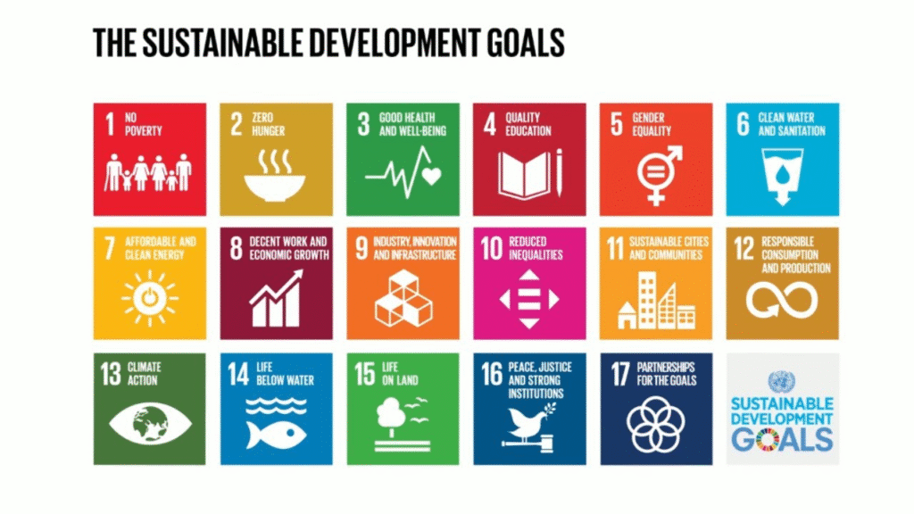 doughnut economics, doughnut theory, Kate Raworth, sustainable development goals, SDGs